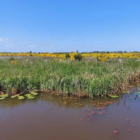 بيت للعطل 10 Person In Tarm-by Traum *