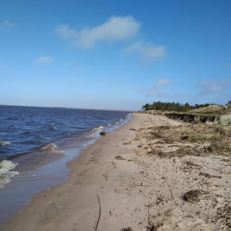 10 Person In Tarm-by Traum *