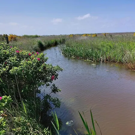 10 Person In Tarm-by Traum بيت للعطل Tarm